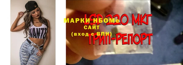 скорость Краснослободск