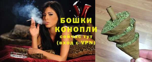 сатива Краснотурьинск